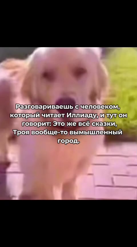 @тгк Апельсинка под мятой