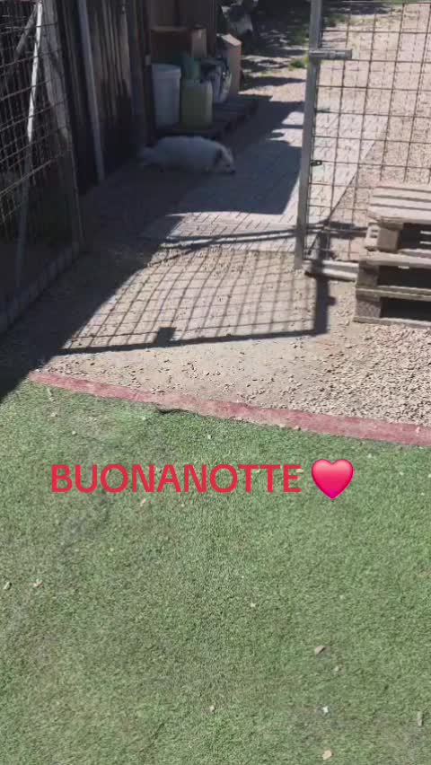 @Maria Rosaria Natill