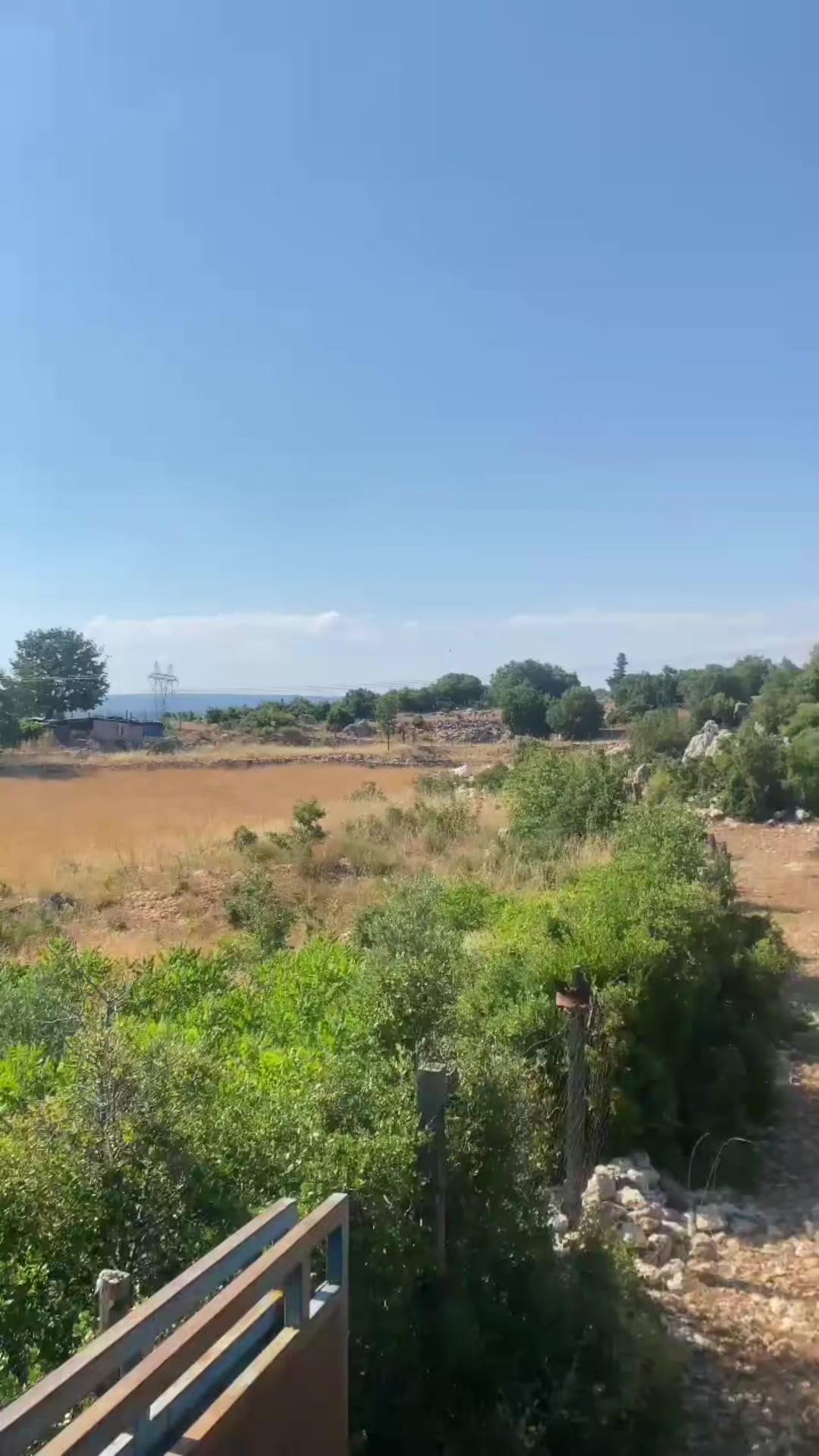 @Songül Demir