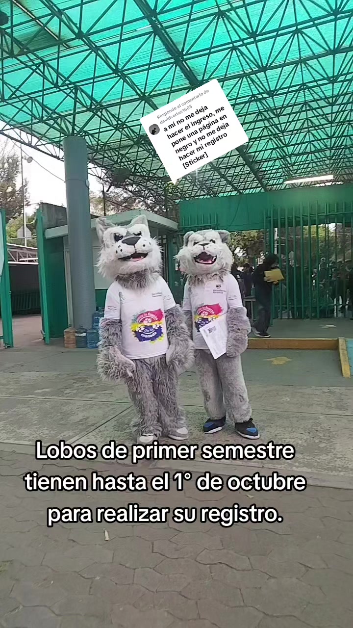 @Lobacho