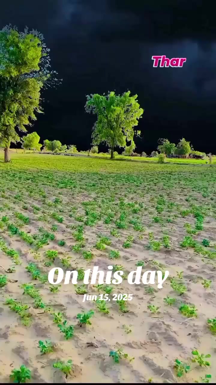 @shankersingh664