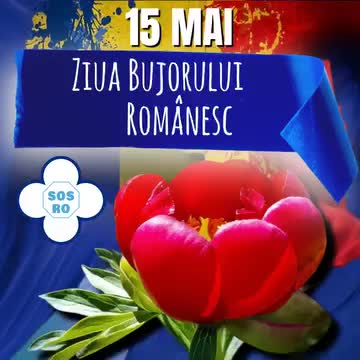 @vasiledeac812