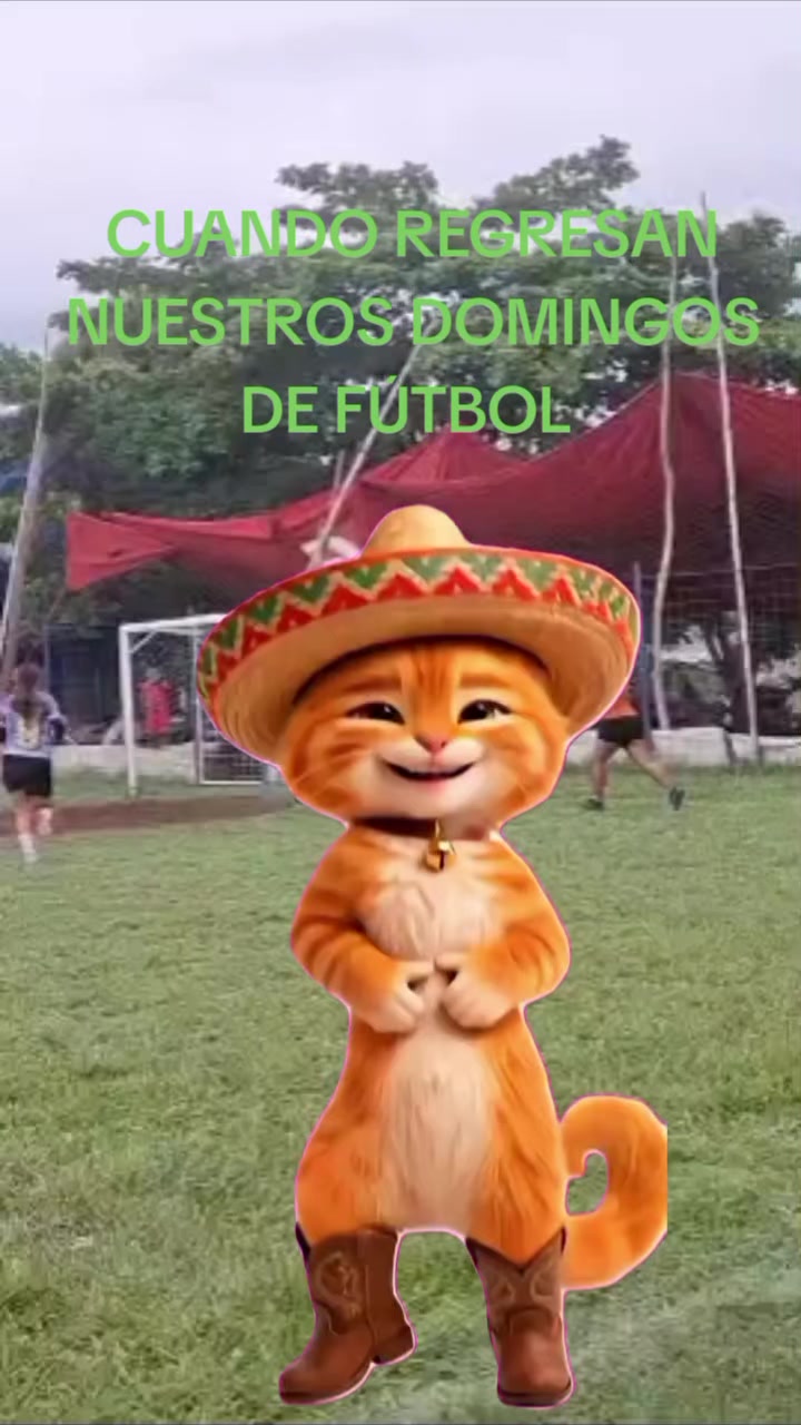 @Vicky vicky