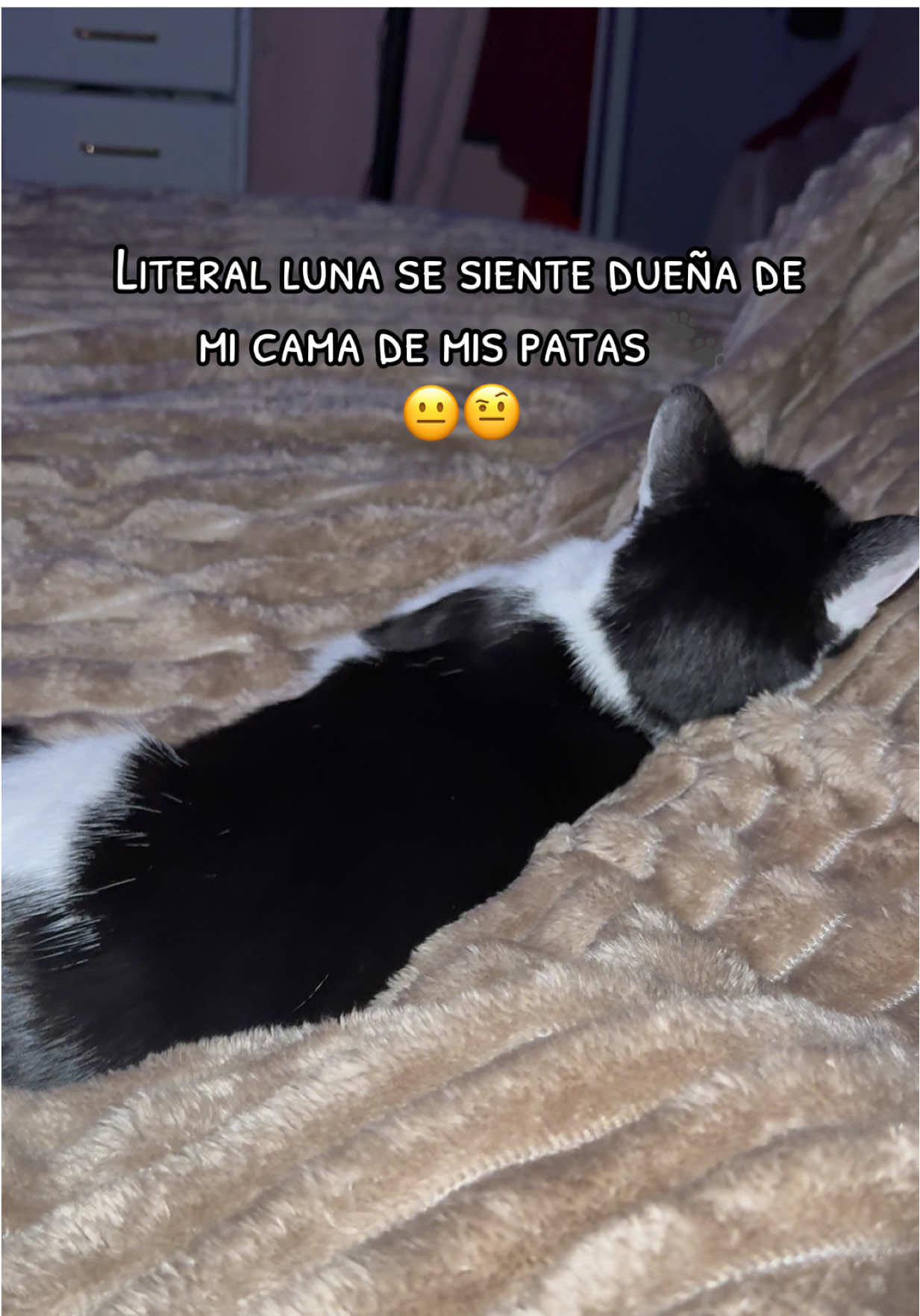 @Luna🌙 y Sol☀️