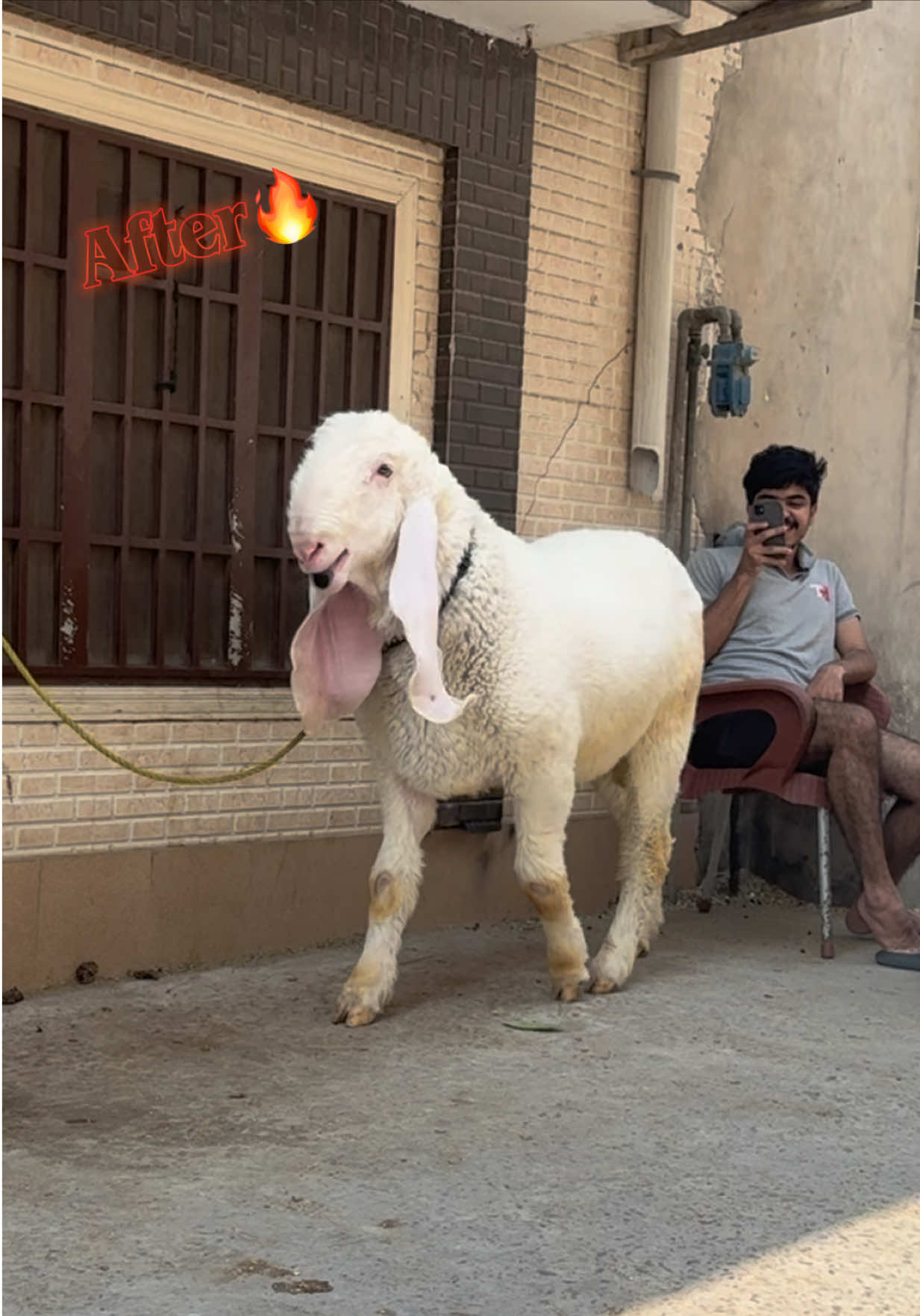 @Saad Rashid