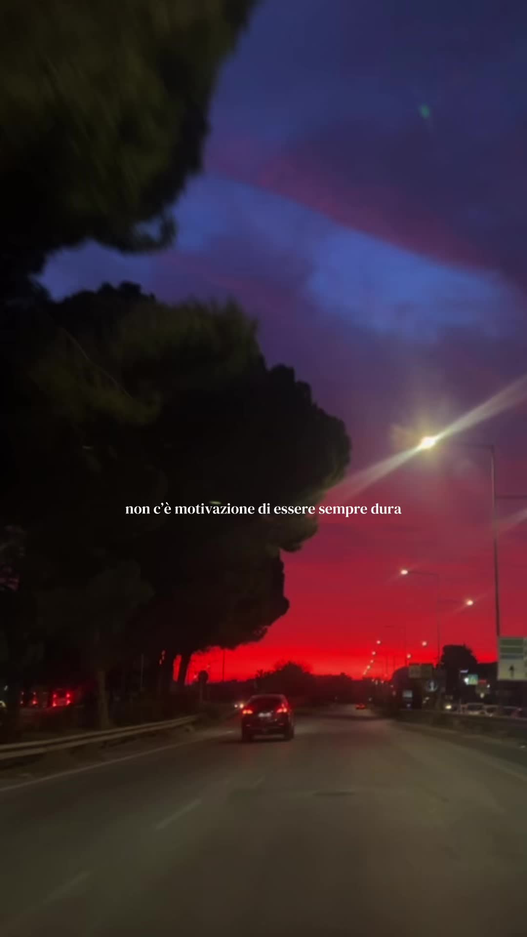 @Alessandra Vasta