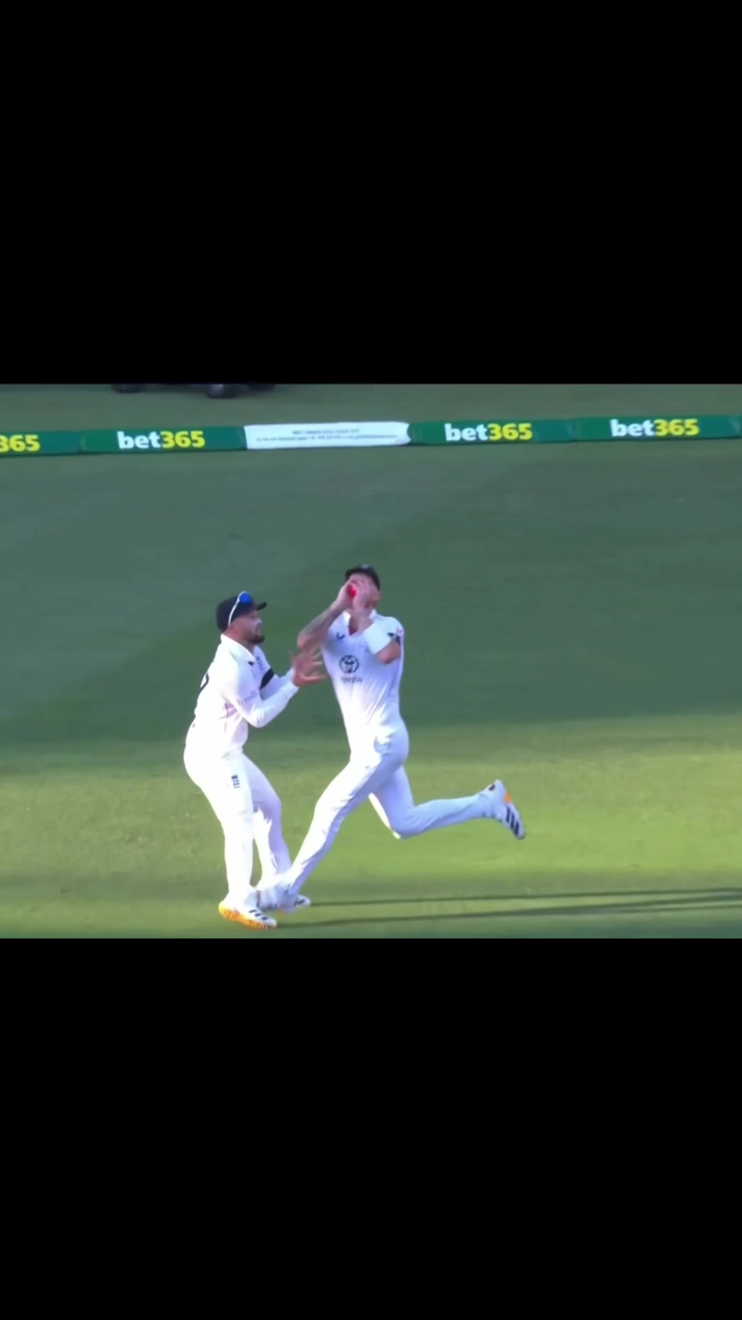 @cricket_hub66