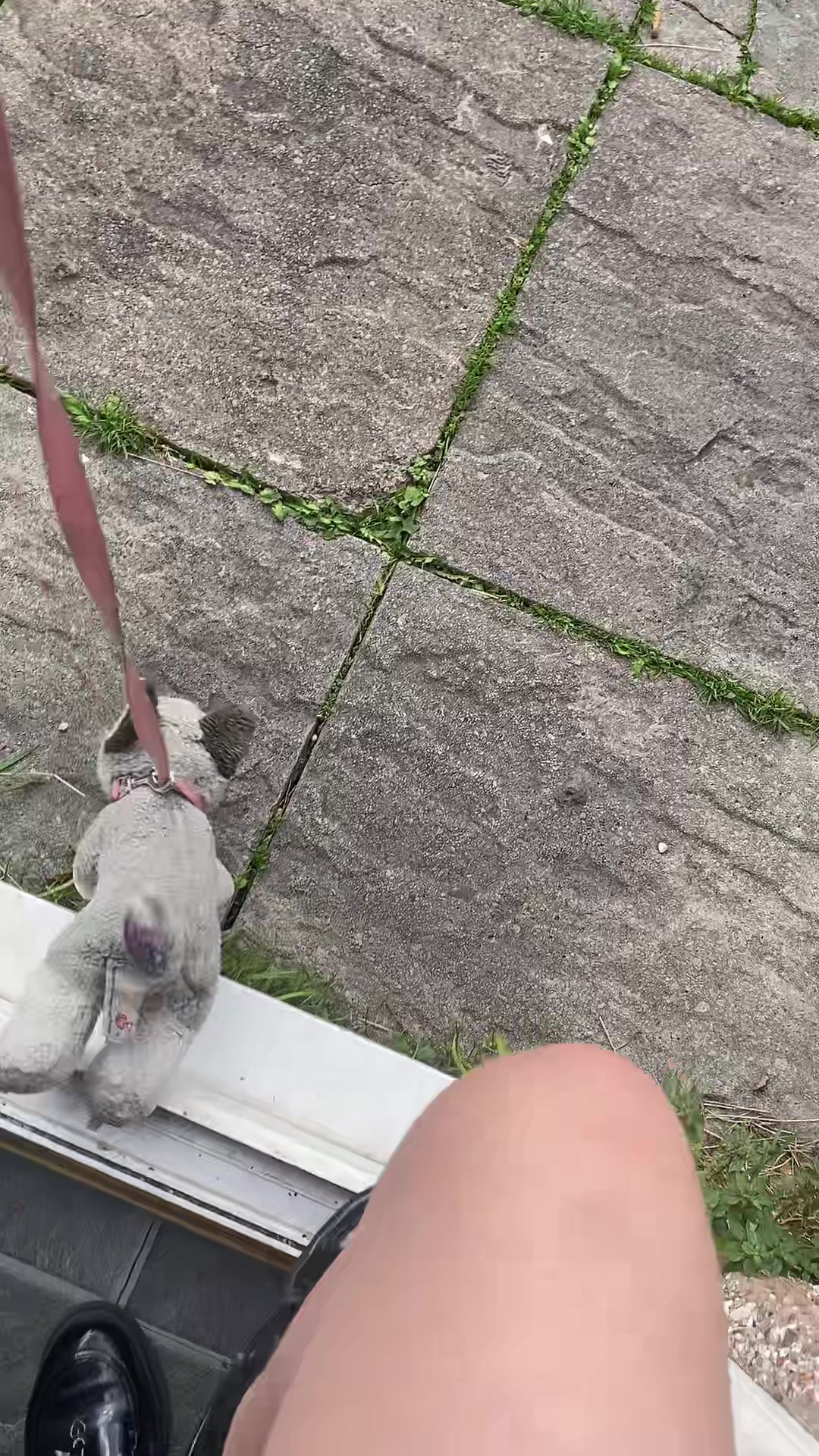 @Marla.woof woof