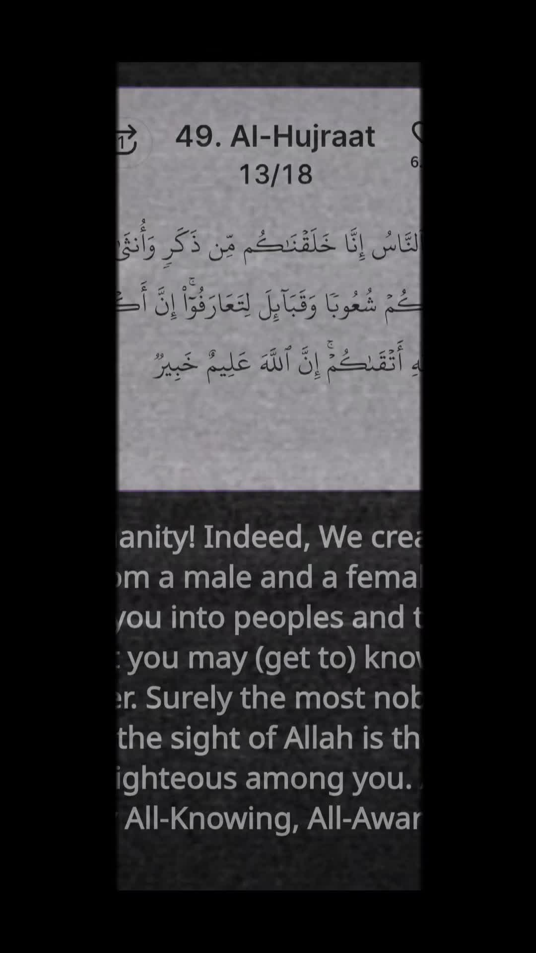 @☪️ Revert_shawnie☪️