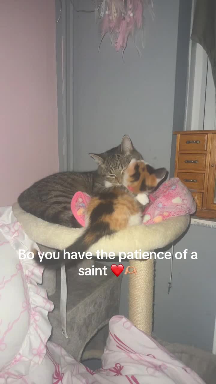 @ðâšRoxanneð«¶ðŒPjQueenâšð