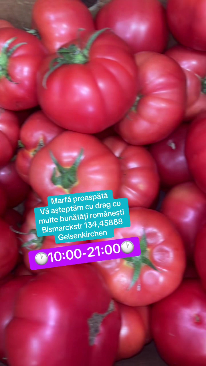 @Gustul De Acasă Gelsenkirchen