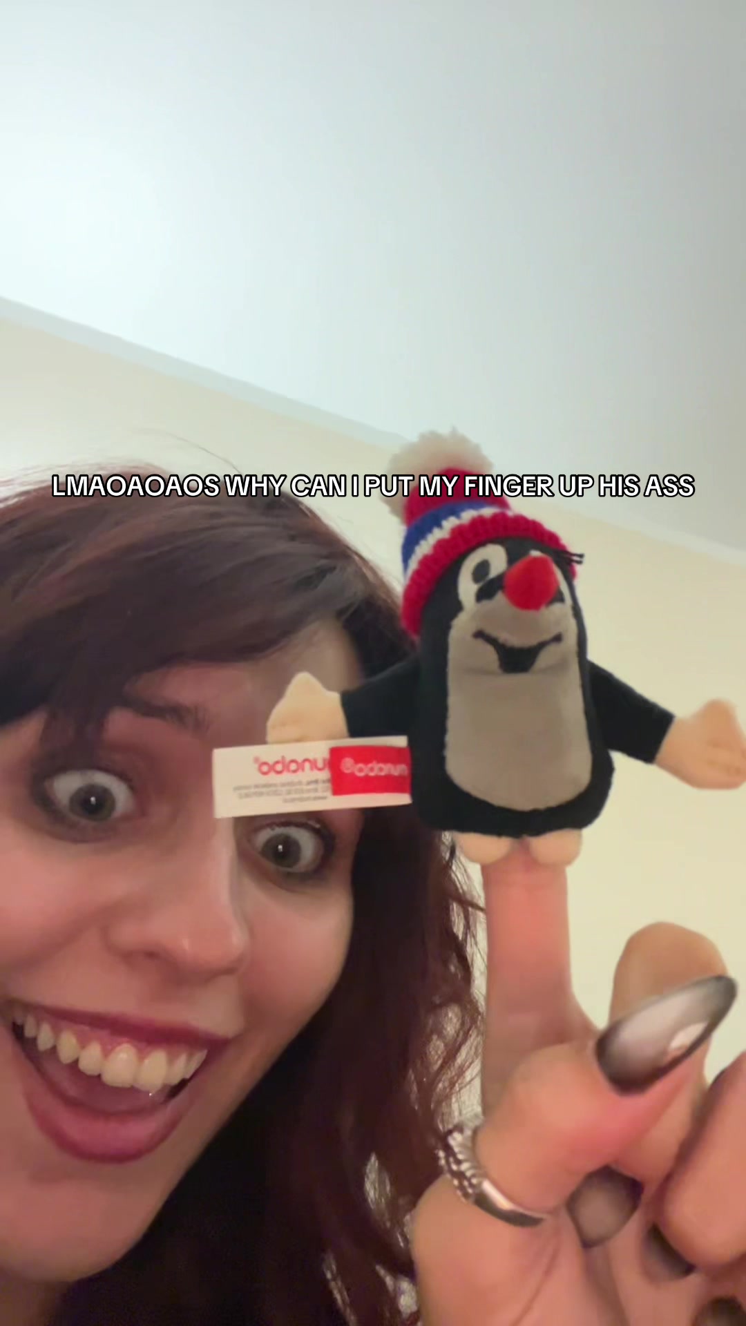@thatgirlobsessedwithcats