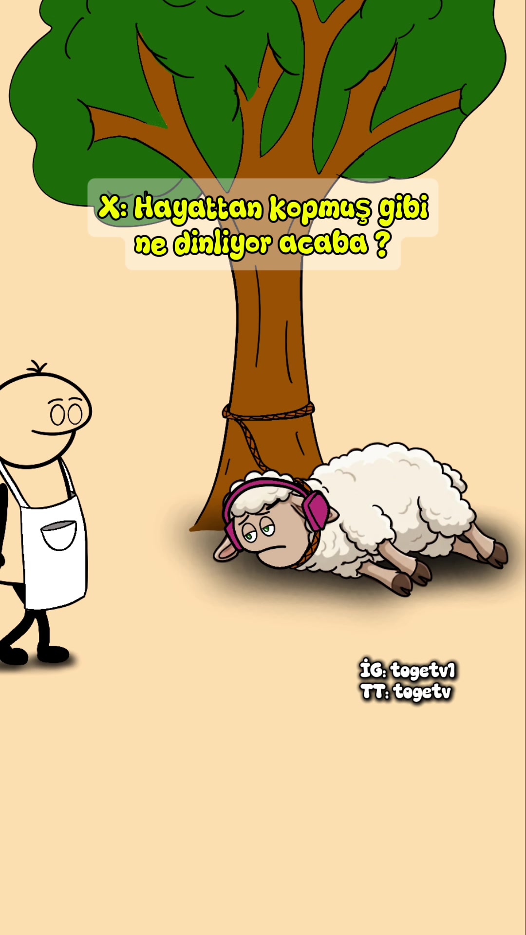@TOGE TV