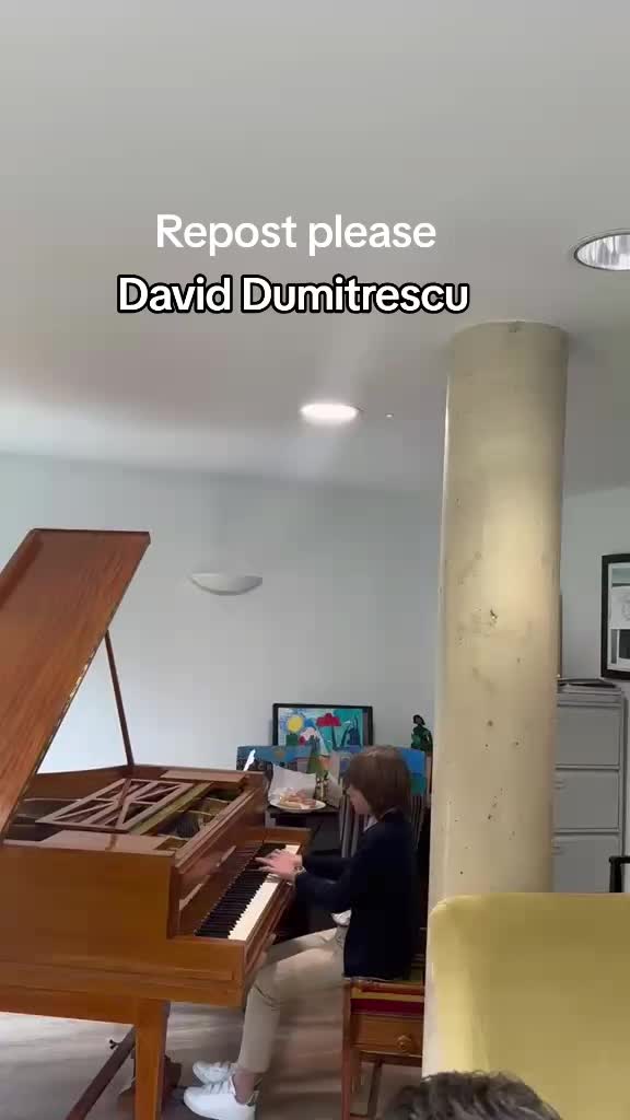 @David Dumitrescu ( FlorinZian)