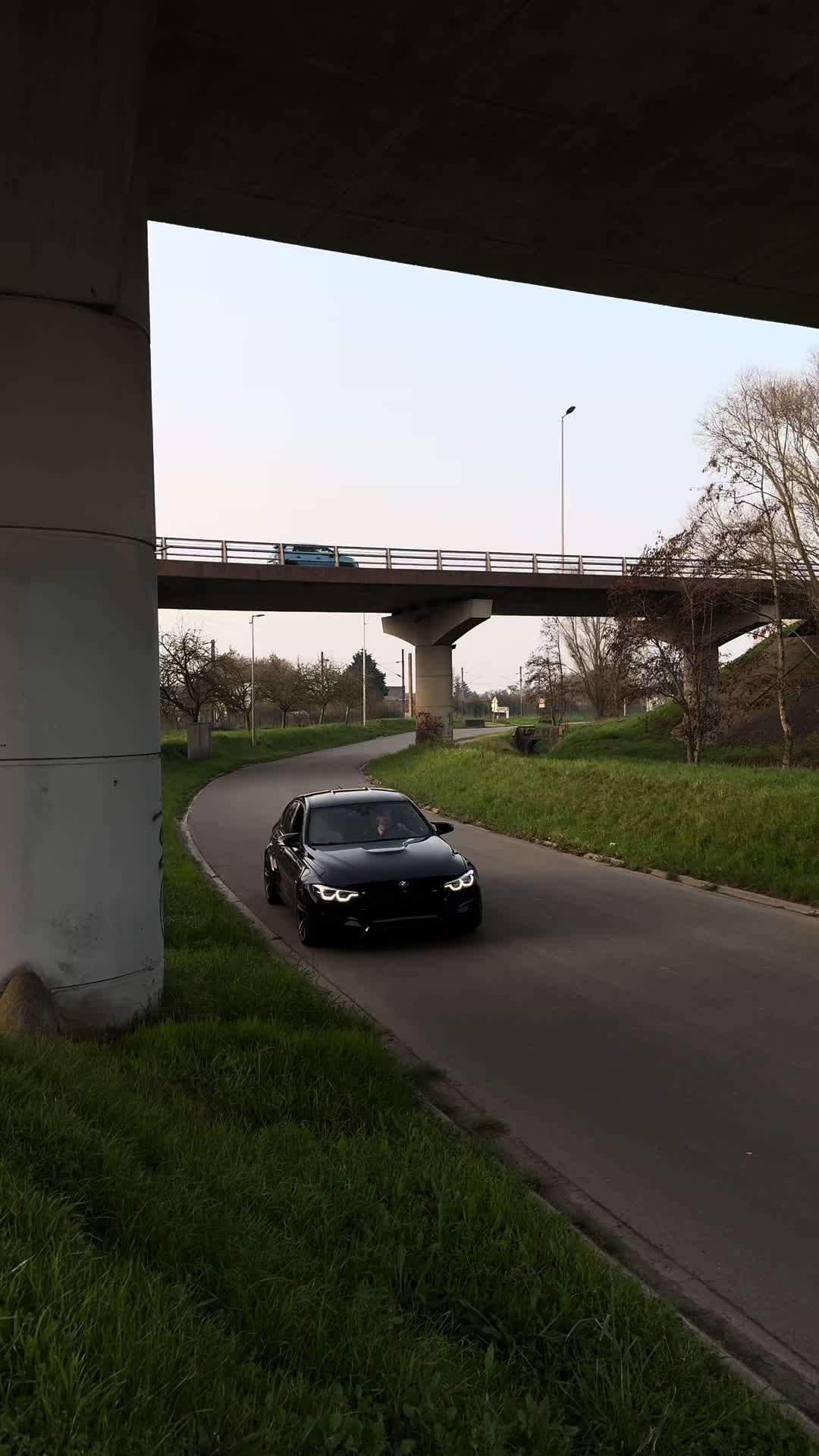 @flo_mperf
