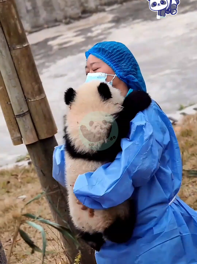 @Pandavibes