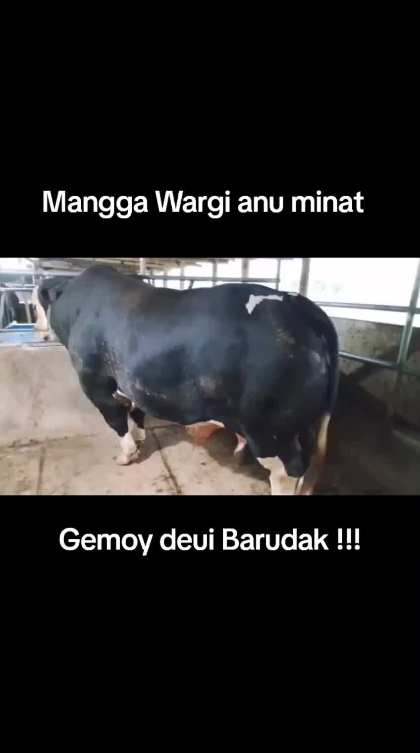 @LEMBUR PAKUAN
