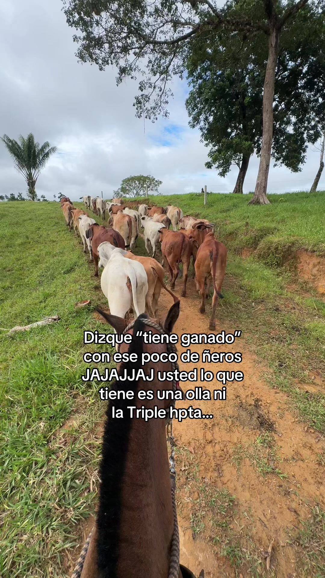 @Didier_🤠