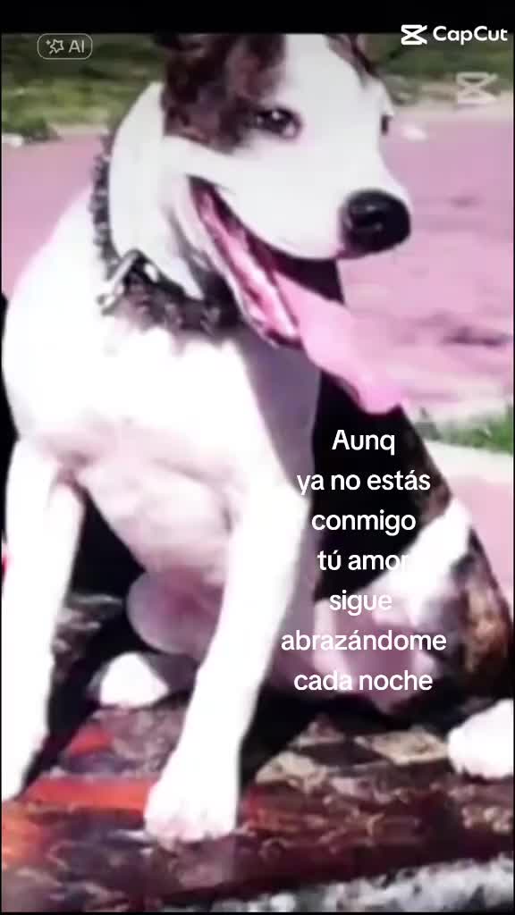 @Mirella Sedamanos