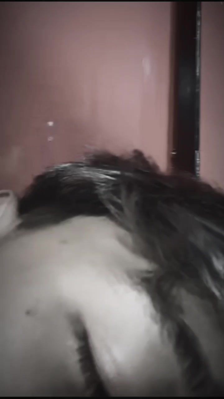 @salsaa