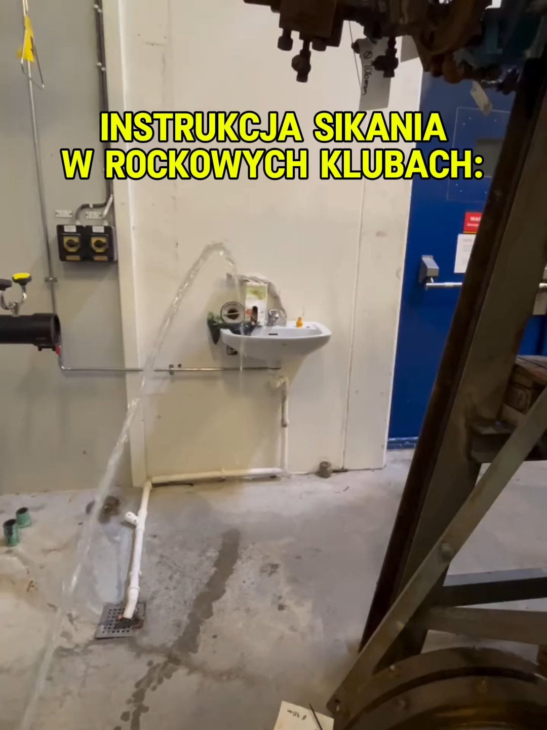 @Rogal XCX