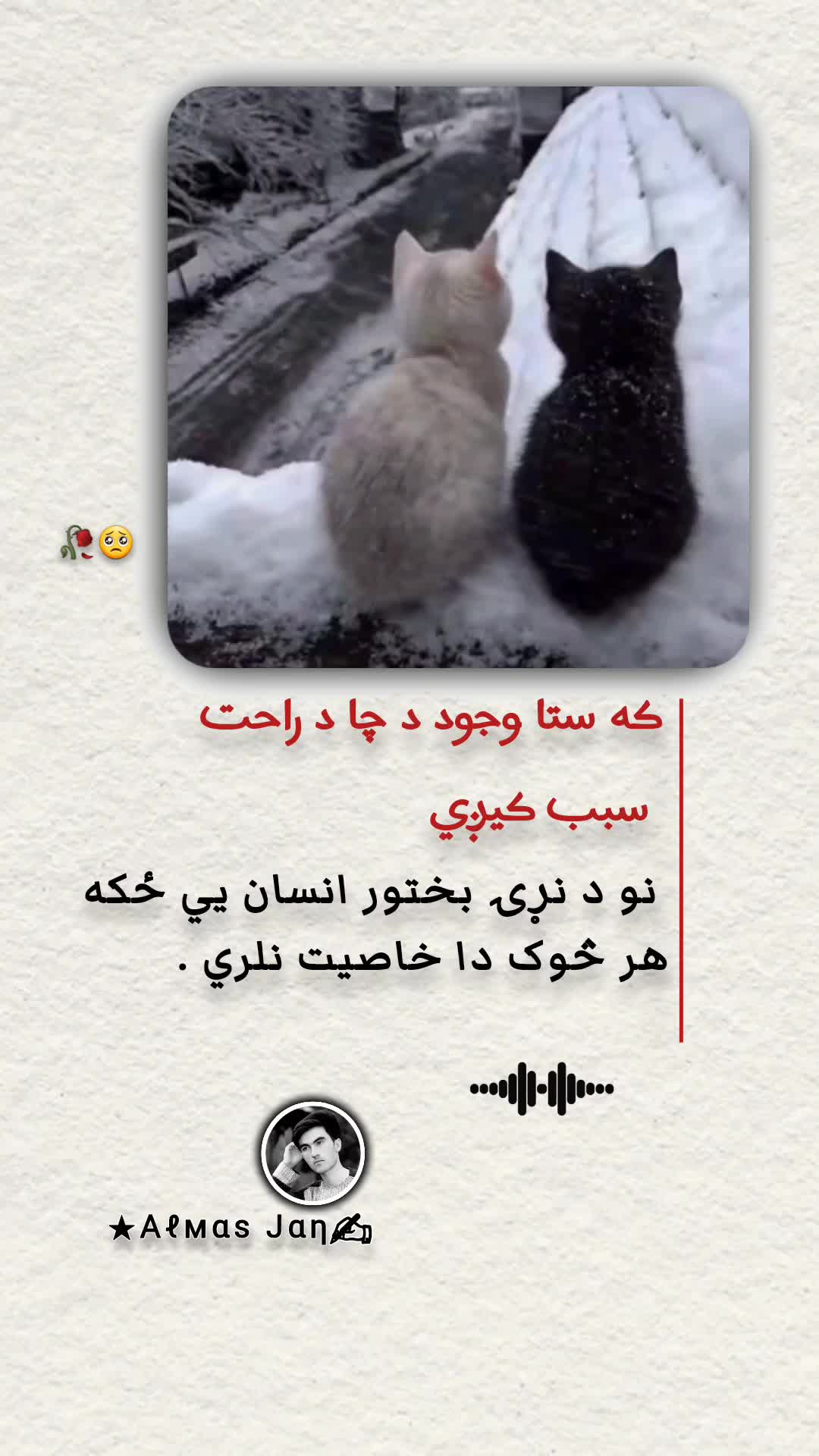 @𓆩𝐀𝐥𝐦𝐚𝐬 𝐉𝐚𝐧𓆪