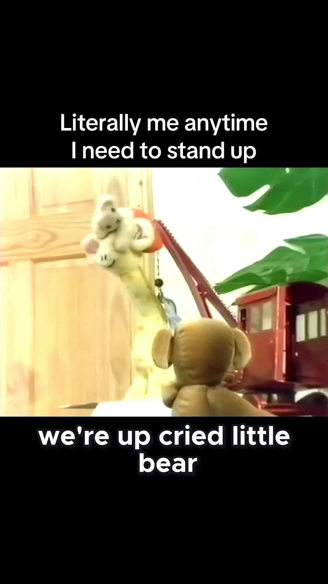 @OldBearSquad