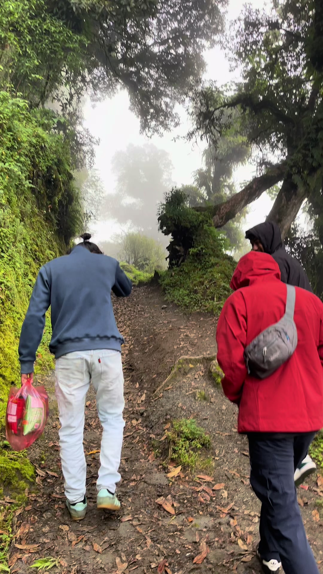 @ओलिना जबेगू ✨