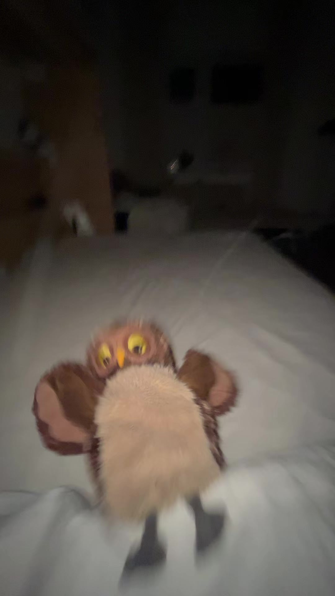 @🦉✨ Eule✨m✨🦉