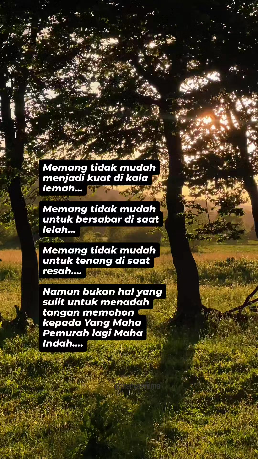 @mamih endut
