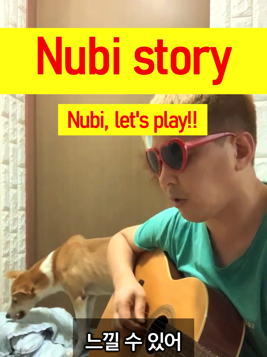 @누비★스토리 Nubi story