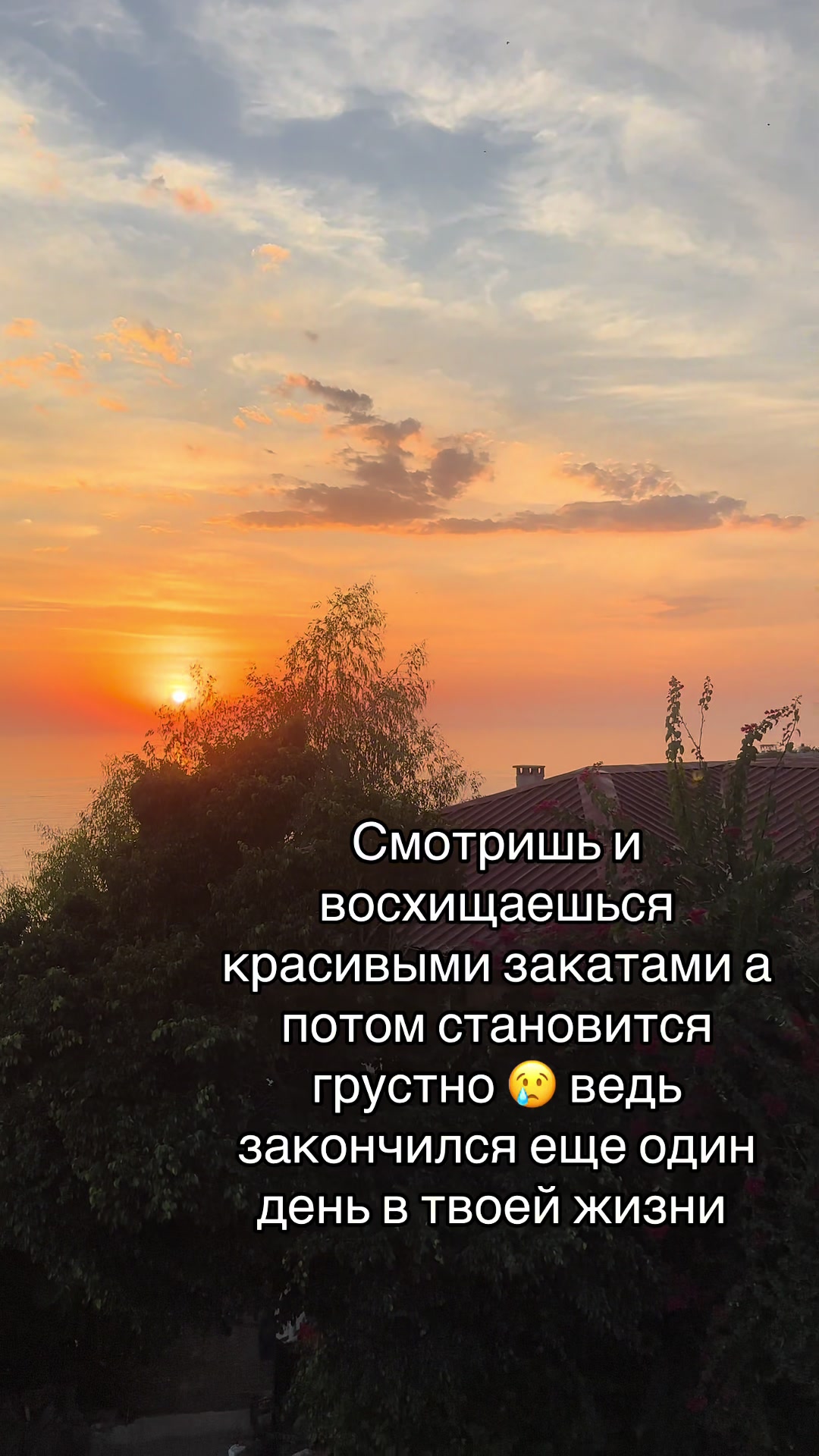 @zuhramur