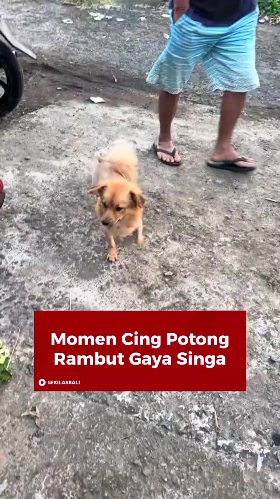 @Sekilas Bali