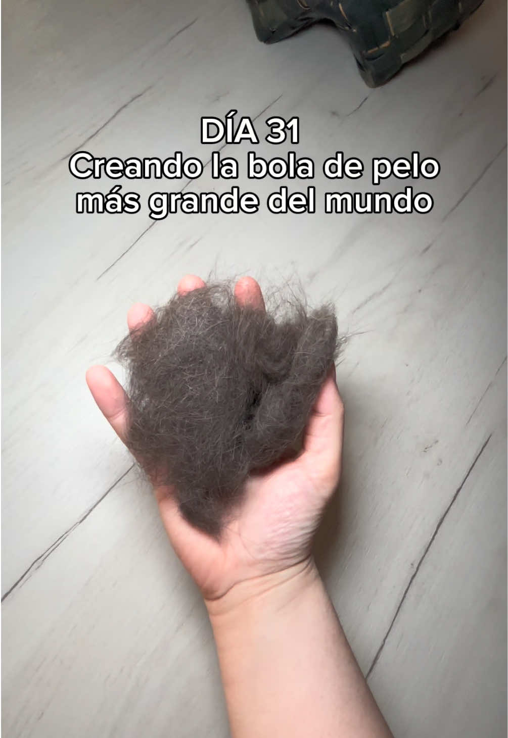 @BlackCatsMatter