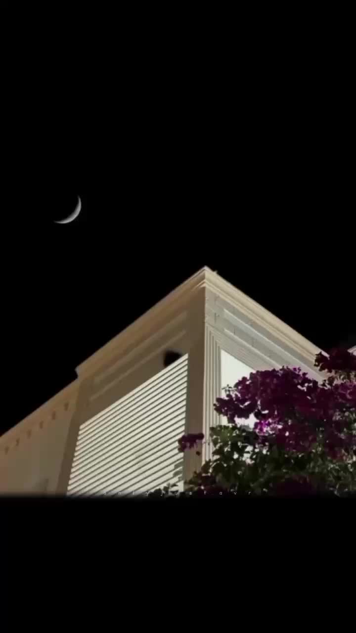 @โโกโ๐๐๐๐ฆ๐๐ข๐ ๐ก.๐๐ฃ๐โโกโ