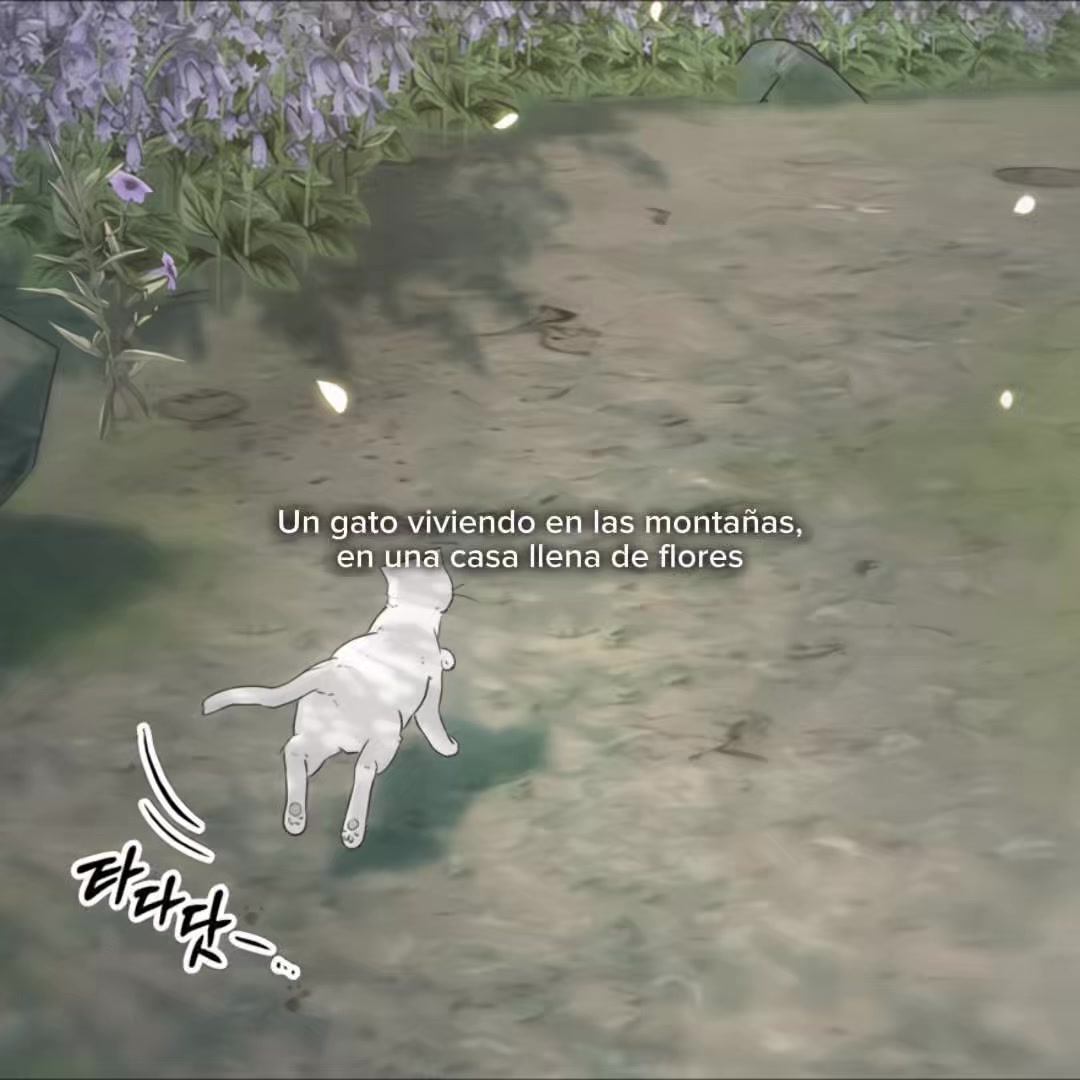 @𝗦𝗻𝗻𝘄𝘆𝘆𝗻𝘆 ☁︎ ͛⋆