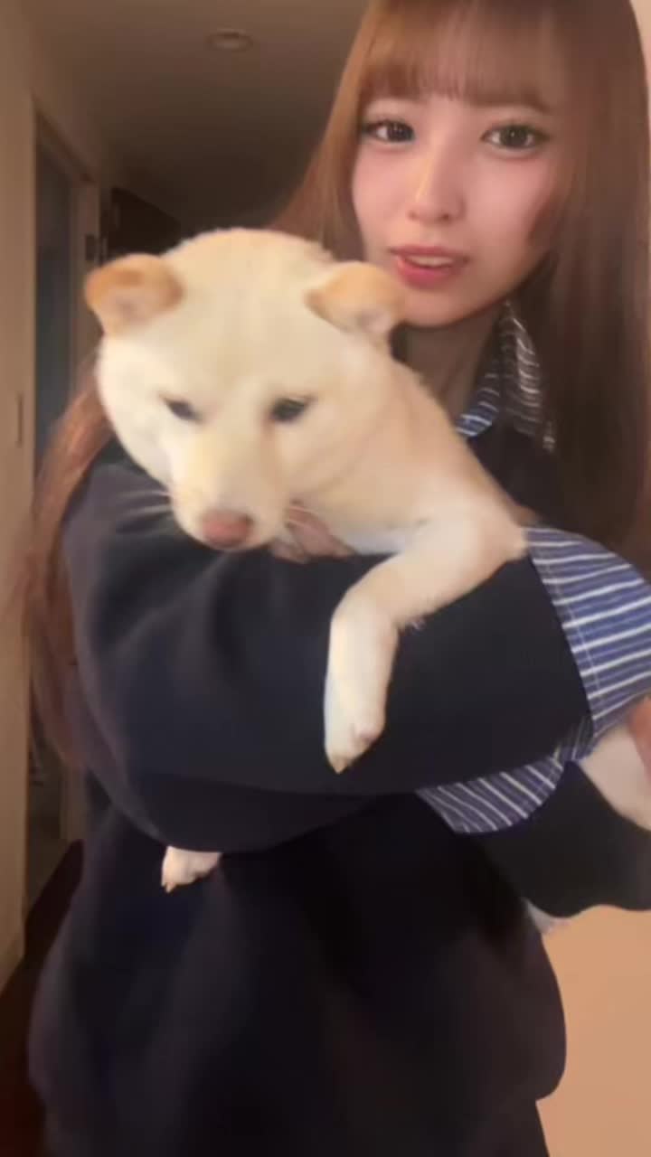 @おもちの飼い主