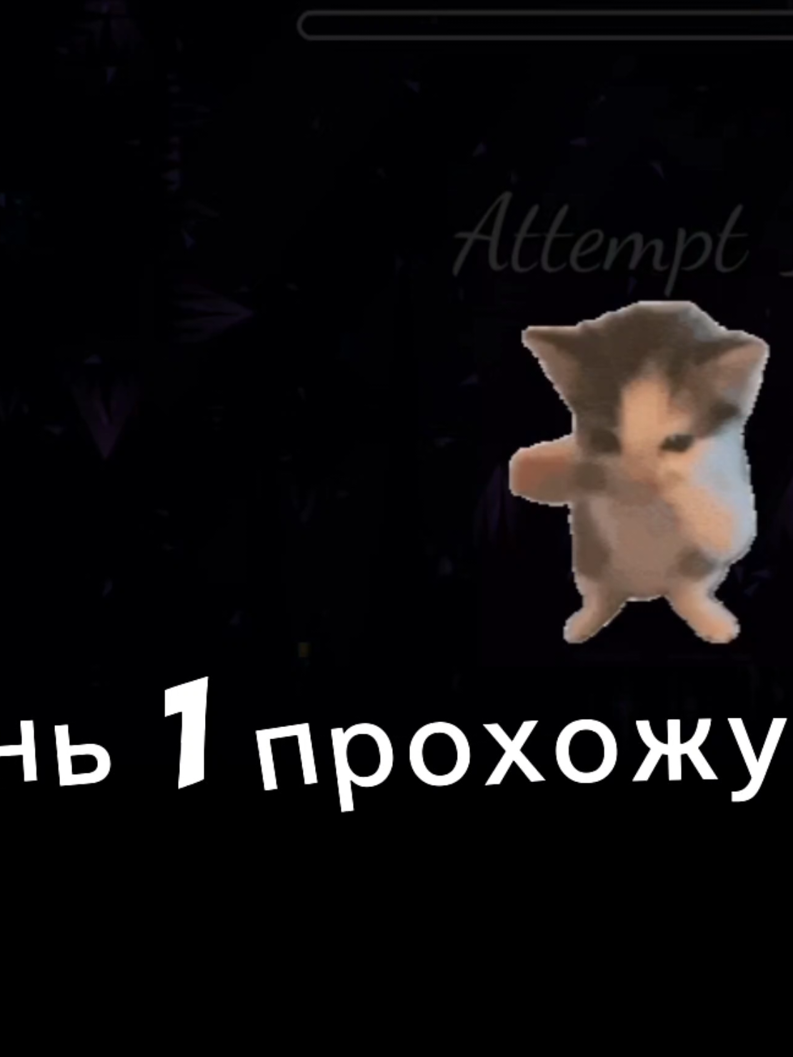 @vorteximp