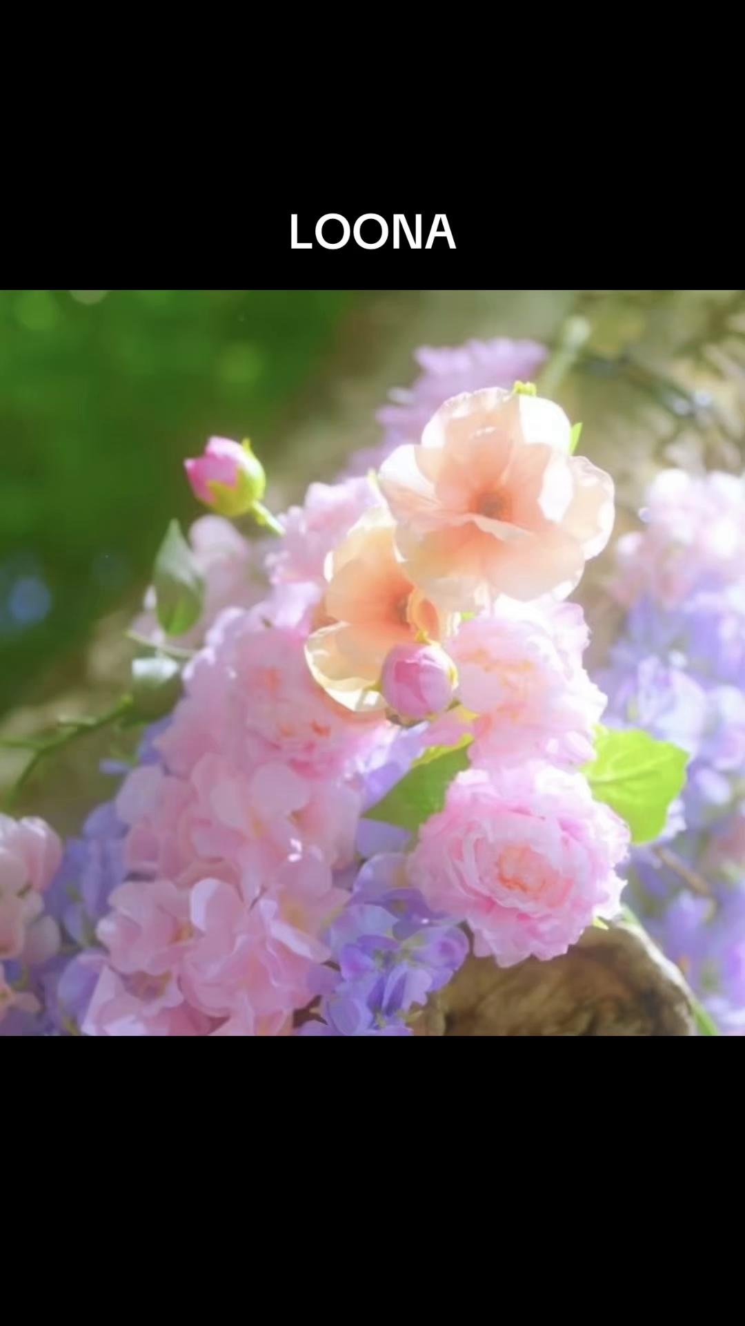 @liliana⋆. 𐙚 ̊