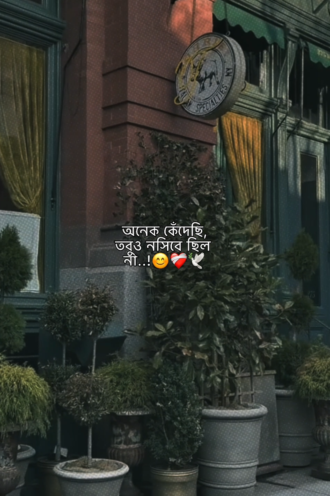 @𝗠𝗮𝘀𝗵𝗮𝗹𝗹𝗮𝗵 𝗔𝗽𝘂'♡︎🌷