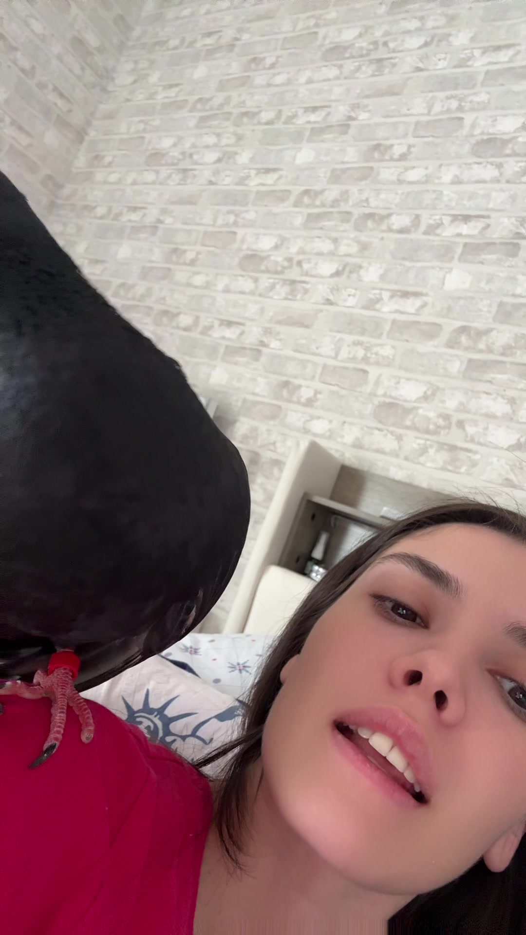 @evaissa