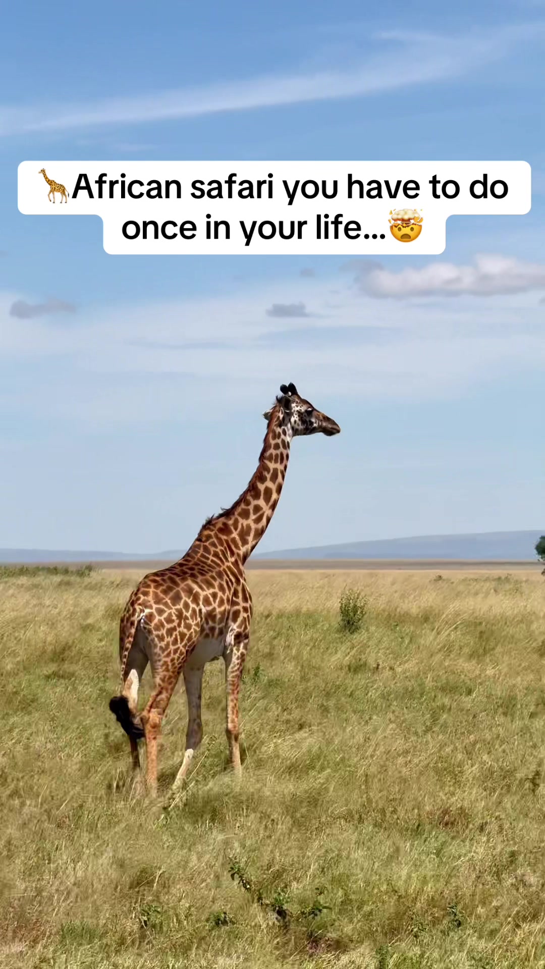 @Mr & Mrs D Adventures