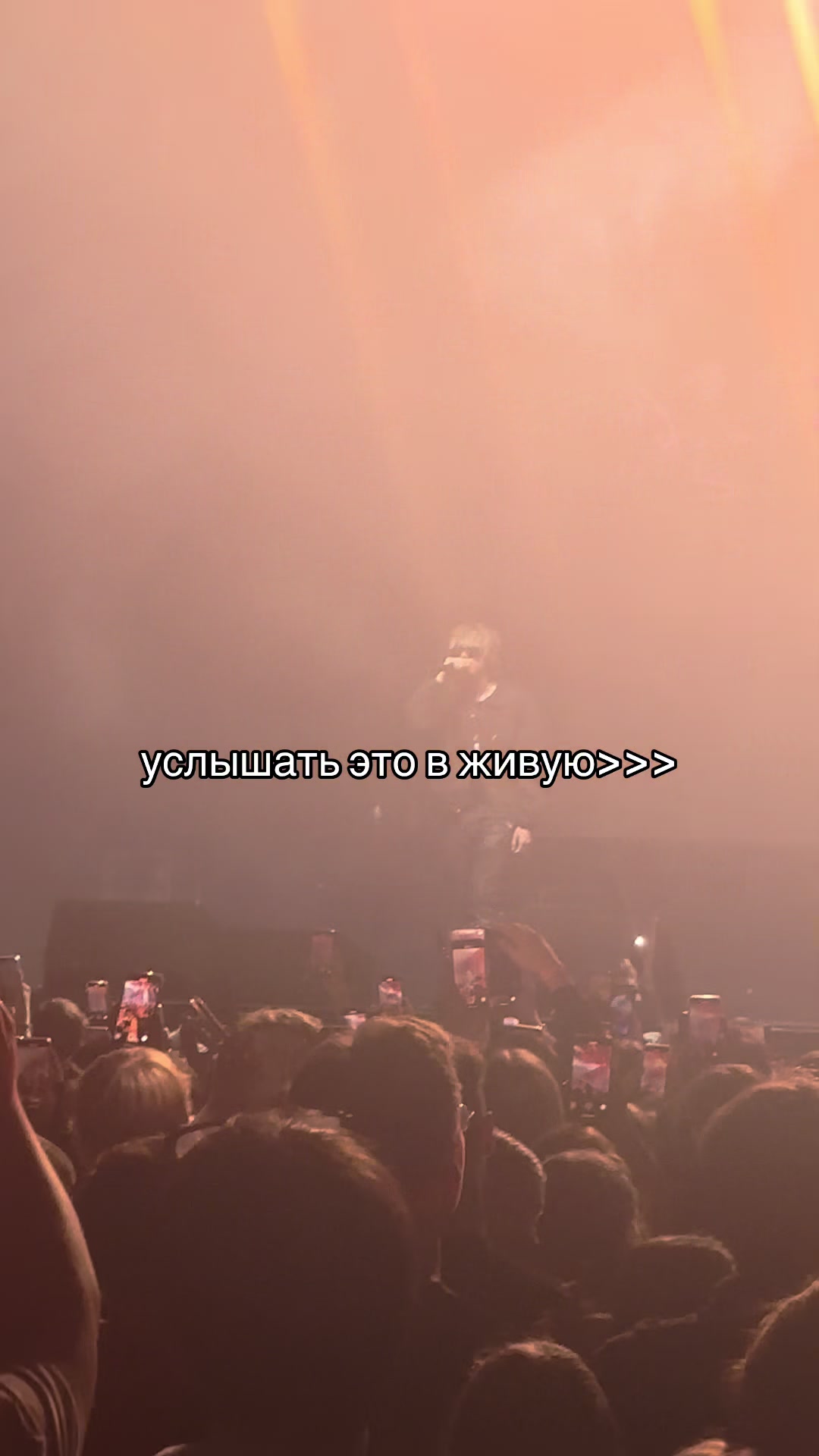 @кутясев