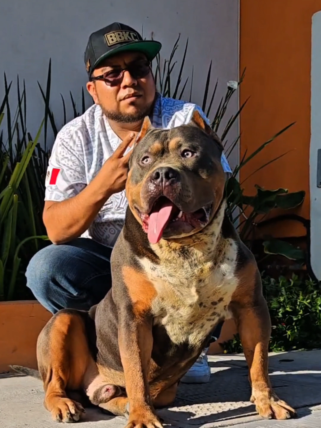 @GALVAN BULLY KENNEL OFFICIAL
