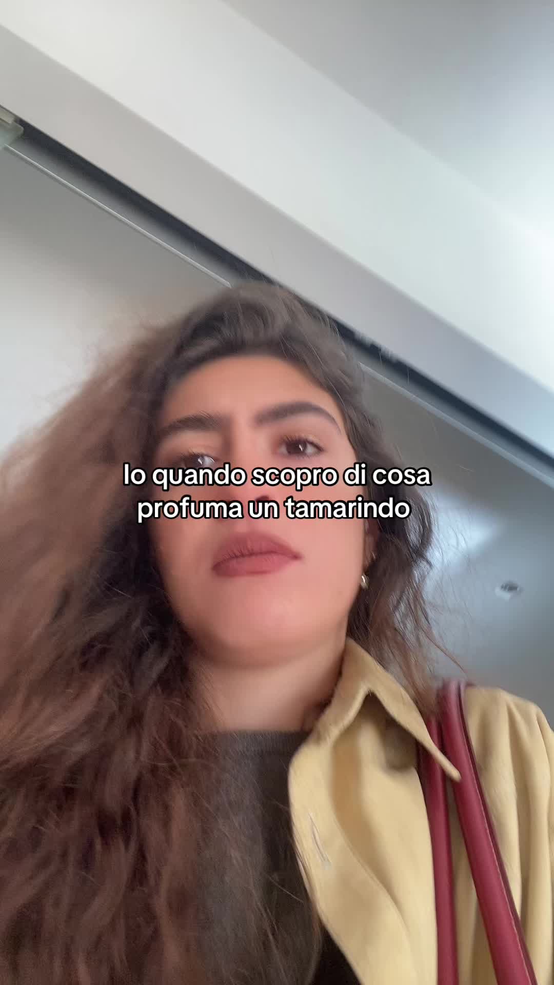 @giuliasminierii
