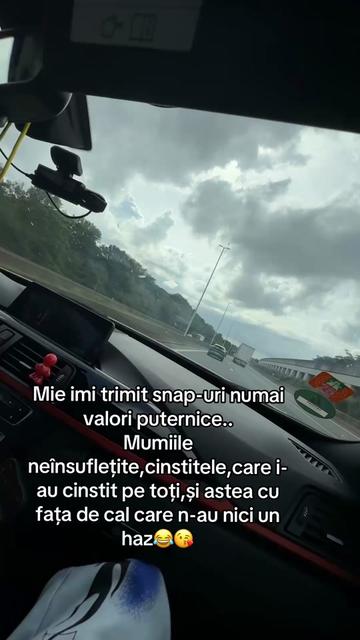 @🐆 ɐı̣uı̣ʌɐꓶ 🐆