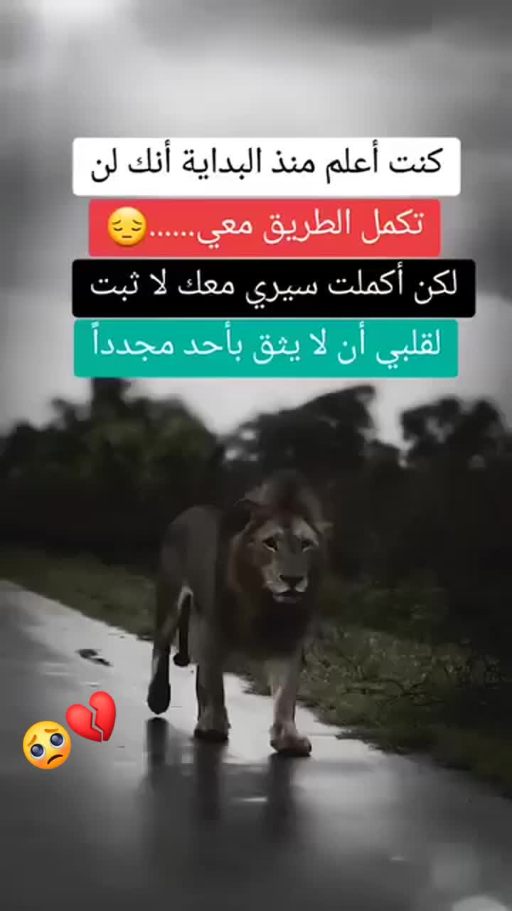 @๖ۣۣۜM℟ㅤⓇⒹⓍ