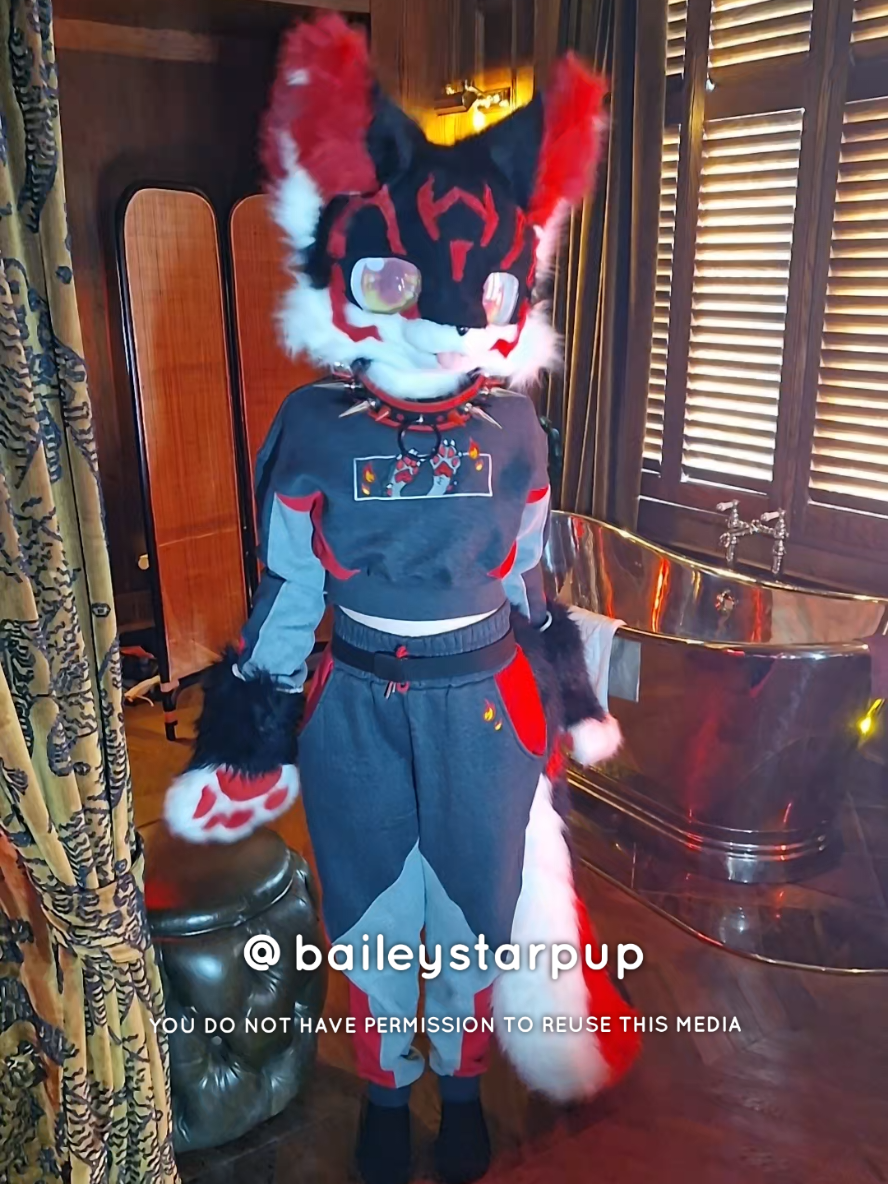 @Bailey (lilpixiekitten)