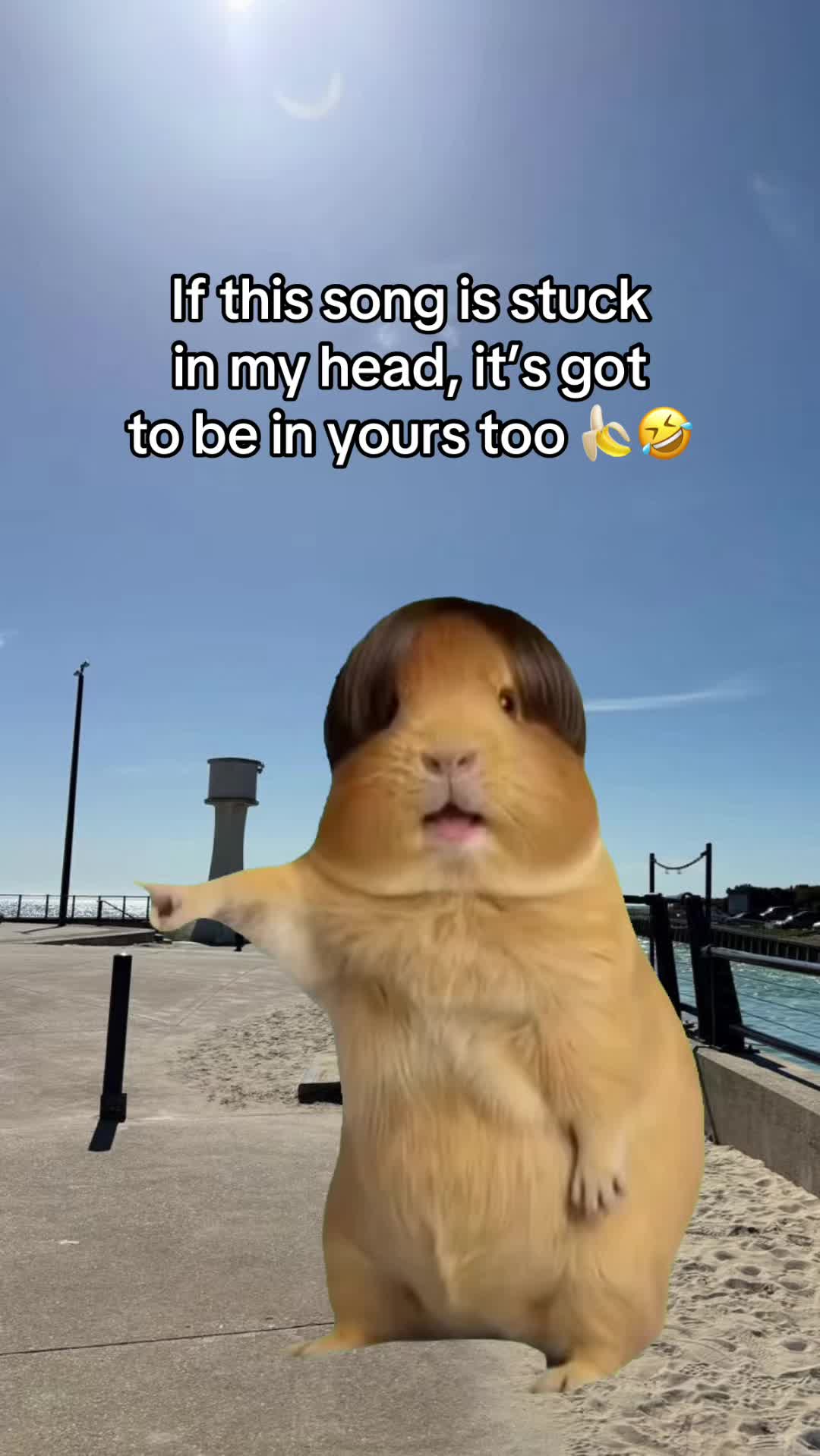 @lilly_r76