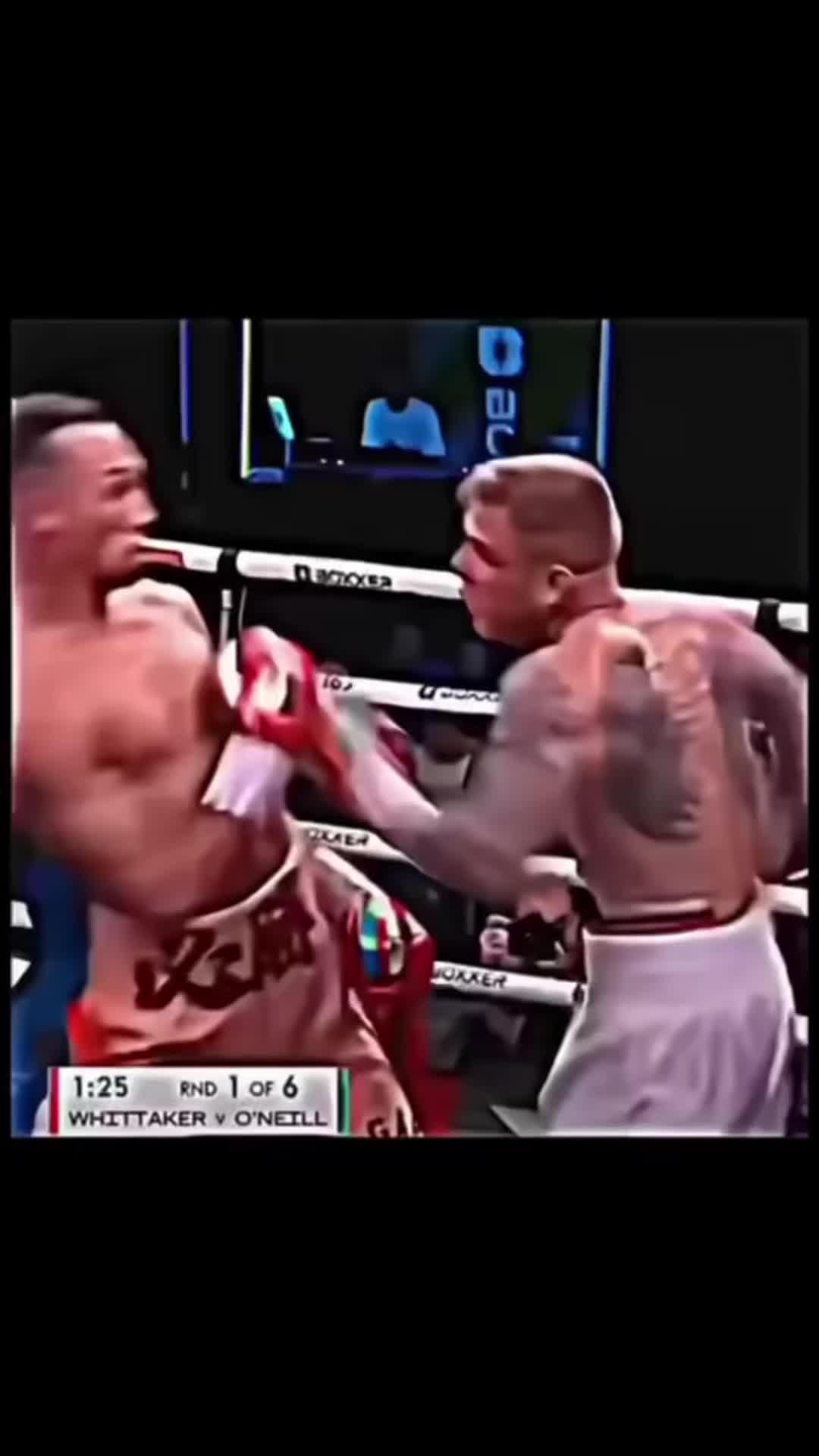 @BOXER